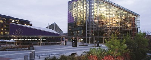 National Aquarium