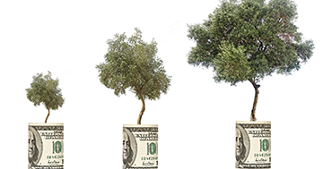 RECs vs. Carbon Offsets: What's the Difference?
